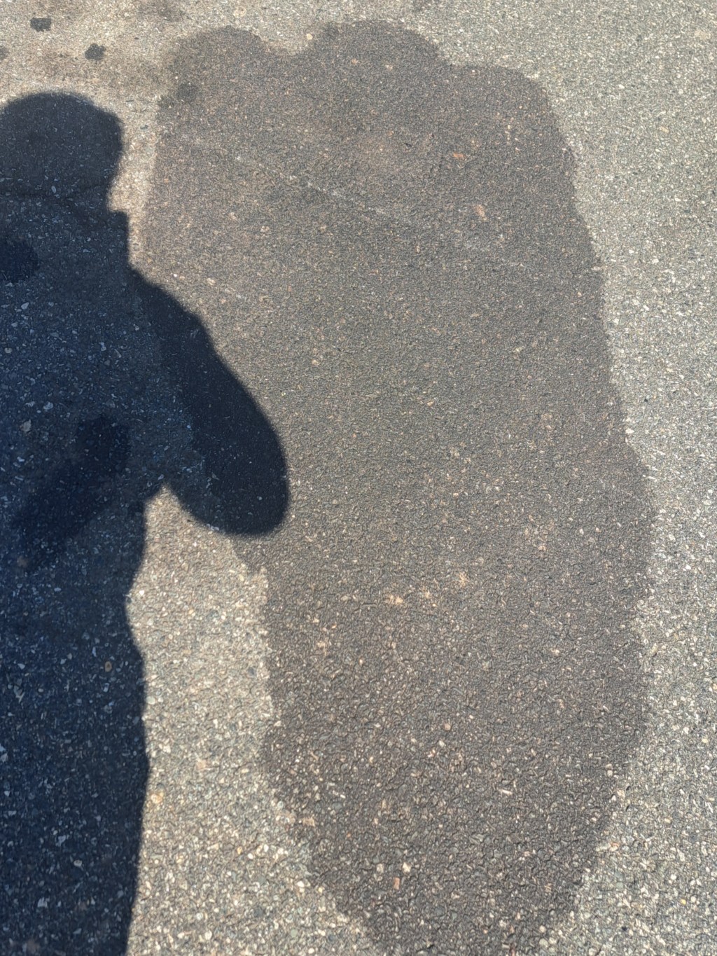 Bigfoot Sighting, Newark, NJ&nbsp;5/22/2024