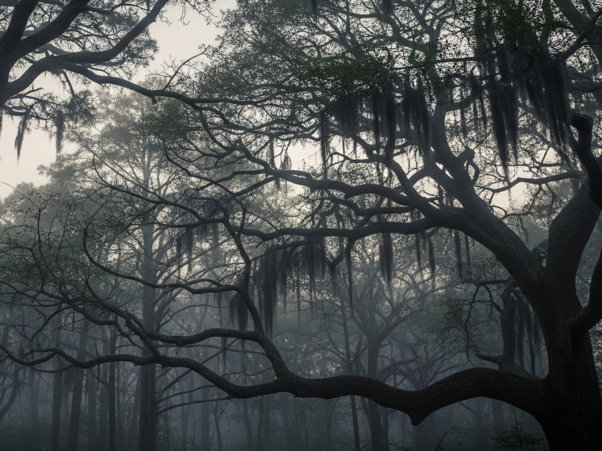 The North Jersey Circuit: Haunts, Legends, and Unexplained Phenomena, A Self Guided&nbsp;Tour